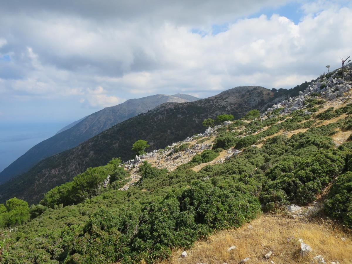 Fotini Сasa de vacaciones Sami (Kefalonia)
