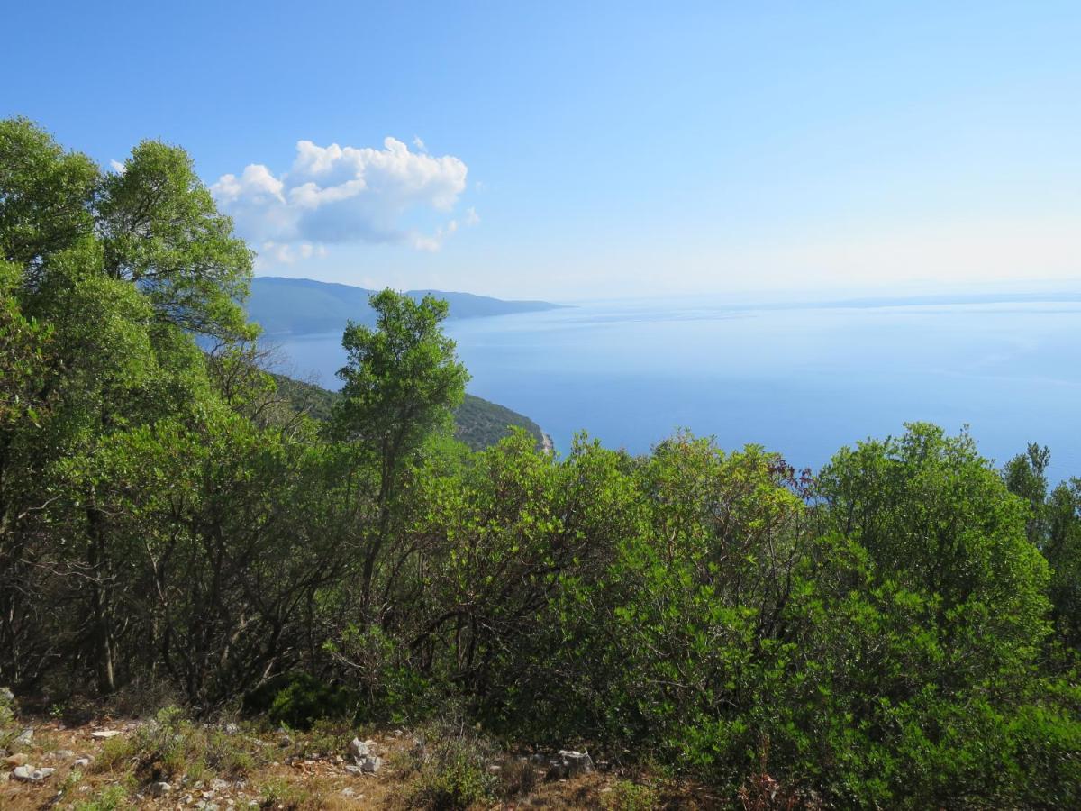 Fotini Holiday home *