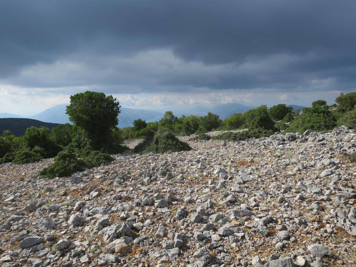 Fotini Sami (Kefalonia)
